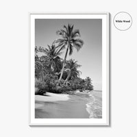 Panama Black and White Fine Art Photo Print, Central America Poster