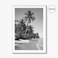Panama Black and White Fine Art Photo Print, Central America Poster