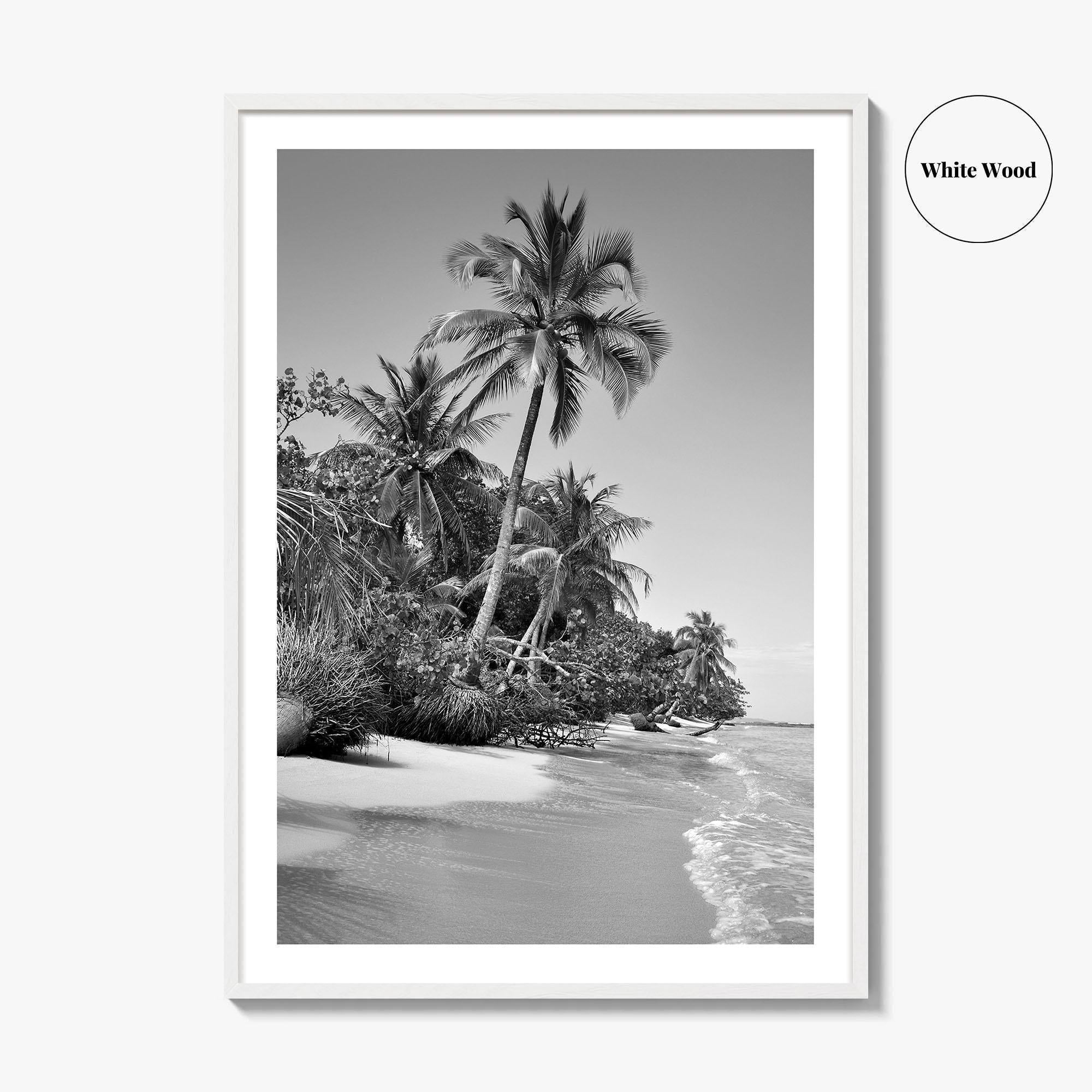 Panama Black and White Fine Art Photo Print, Central America Poster
