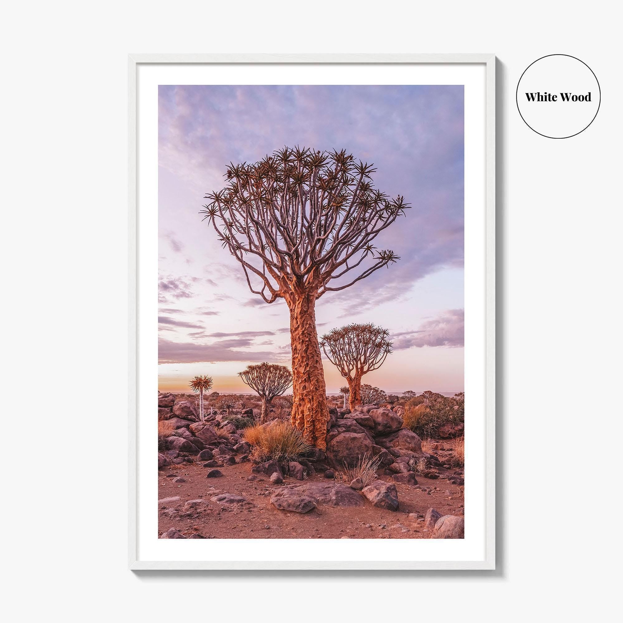 Namibia Fine Art Photo Print, Quiver Tree Forest, Keetmanshoop, Africa Wall Decor Poster