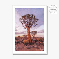 Namibia Fine Art Photo Print, Quiver Tree Forest, Keetmanshoop, Africa Wall Decor Poster