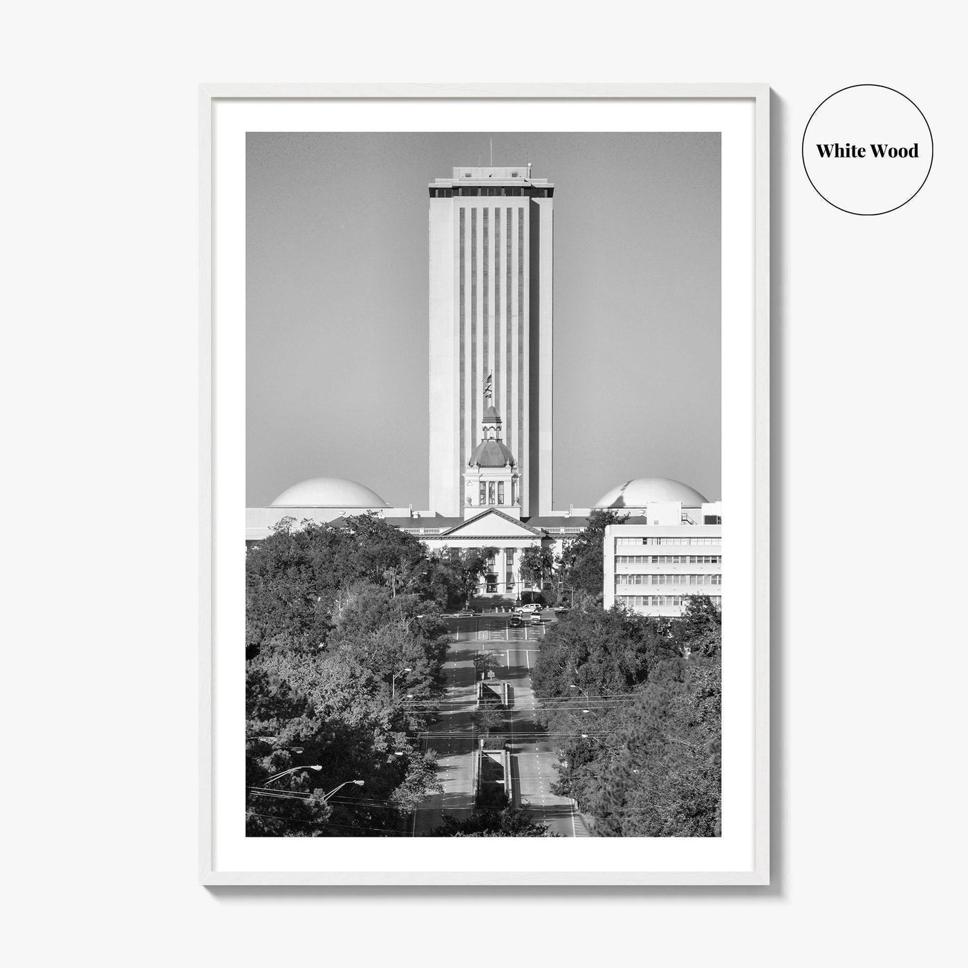 Tallahassee Black and White Fine Art Photo Print, Florida Capitol Buildings, Florida Poster