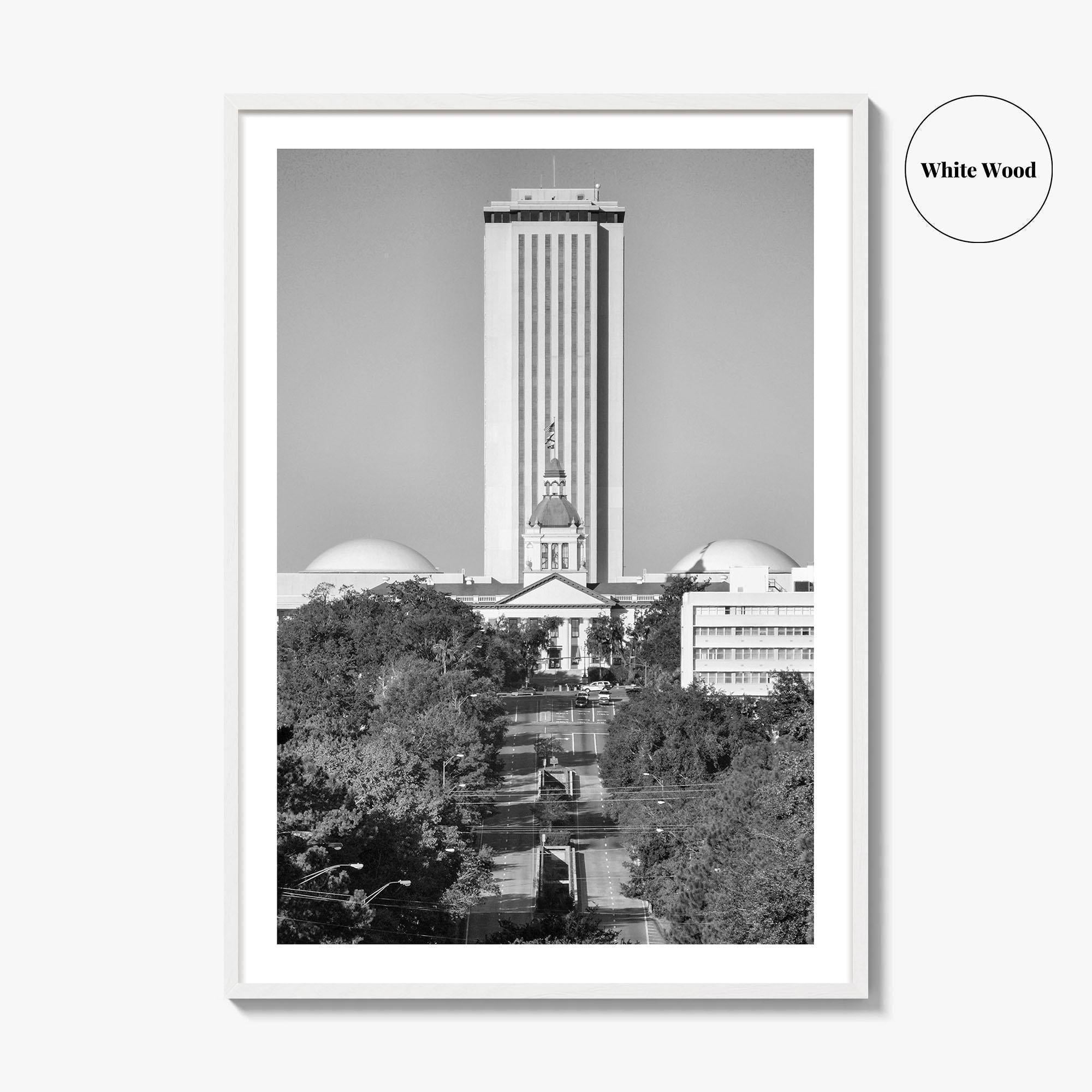 Tallahassee Black and White Fine Art Photo Print, Florida Capitol Buildings, Florida Poster