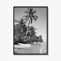 Panama Black and White Fine Art Photo Print, Central America Poster