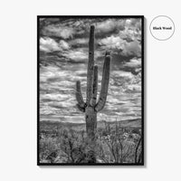 Saguaro National Park Black and White Fine Art Photo Print, Tucson Sonoran Desert Poster