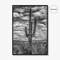 Saguaro National Park Black and White Fine Art Photo Print, Tucson Sonoran Desert Poster