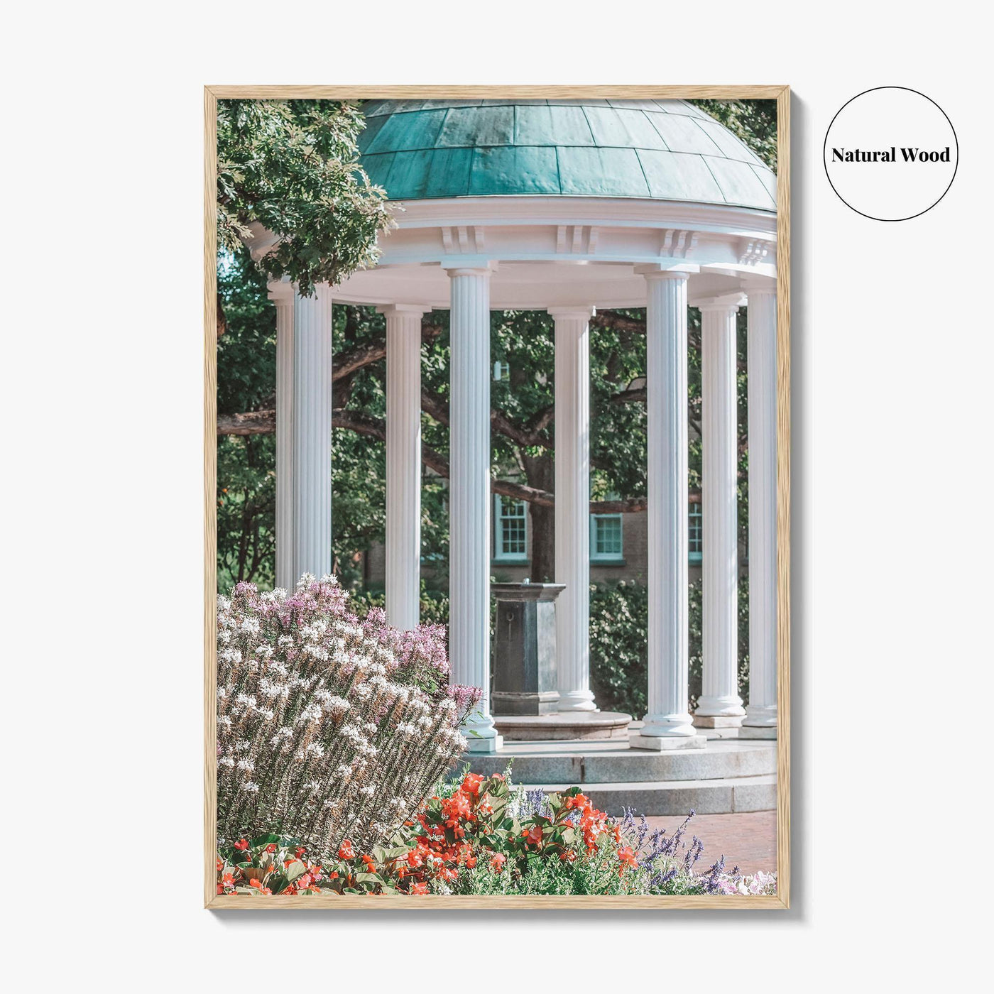 Chapel Hill Fine Art Photo Print, Old Well, UNC, North Carolina Wall Poster