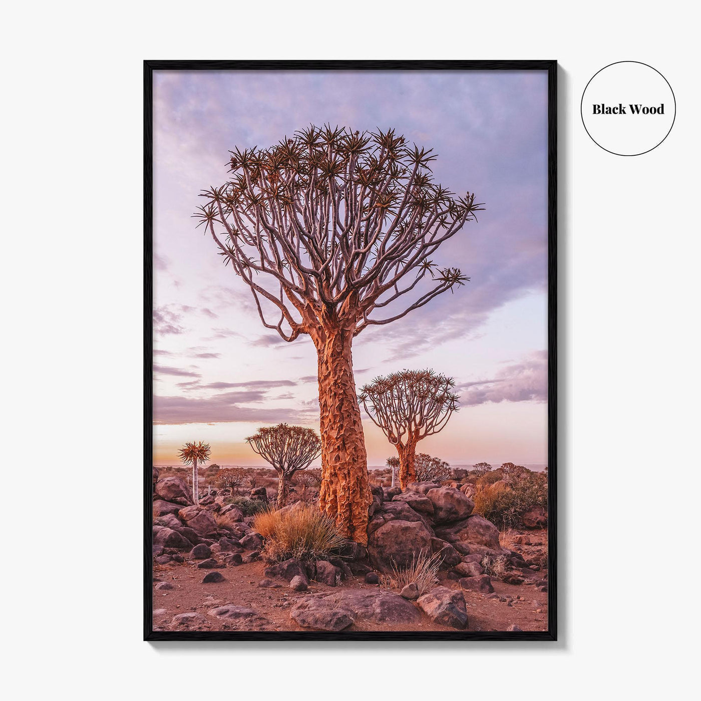 Namibia Fine Art Photo Print, Quiver Tree Forest, Keetmanshoop, Africa Wall Decor Poster