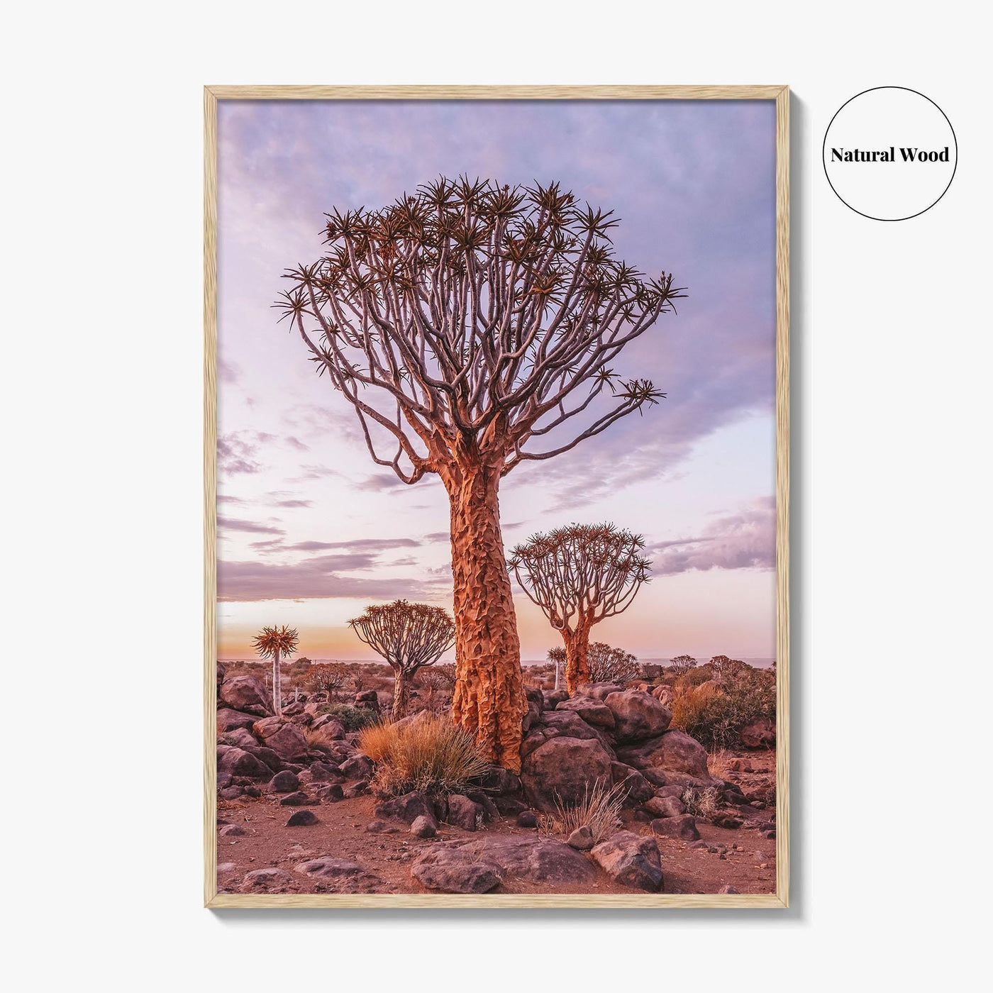 Namibia Fine Art Photo Print, Quiver Tree Forest, Keetmanshoop, Africa Wall Decor Poster