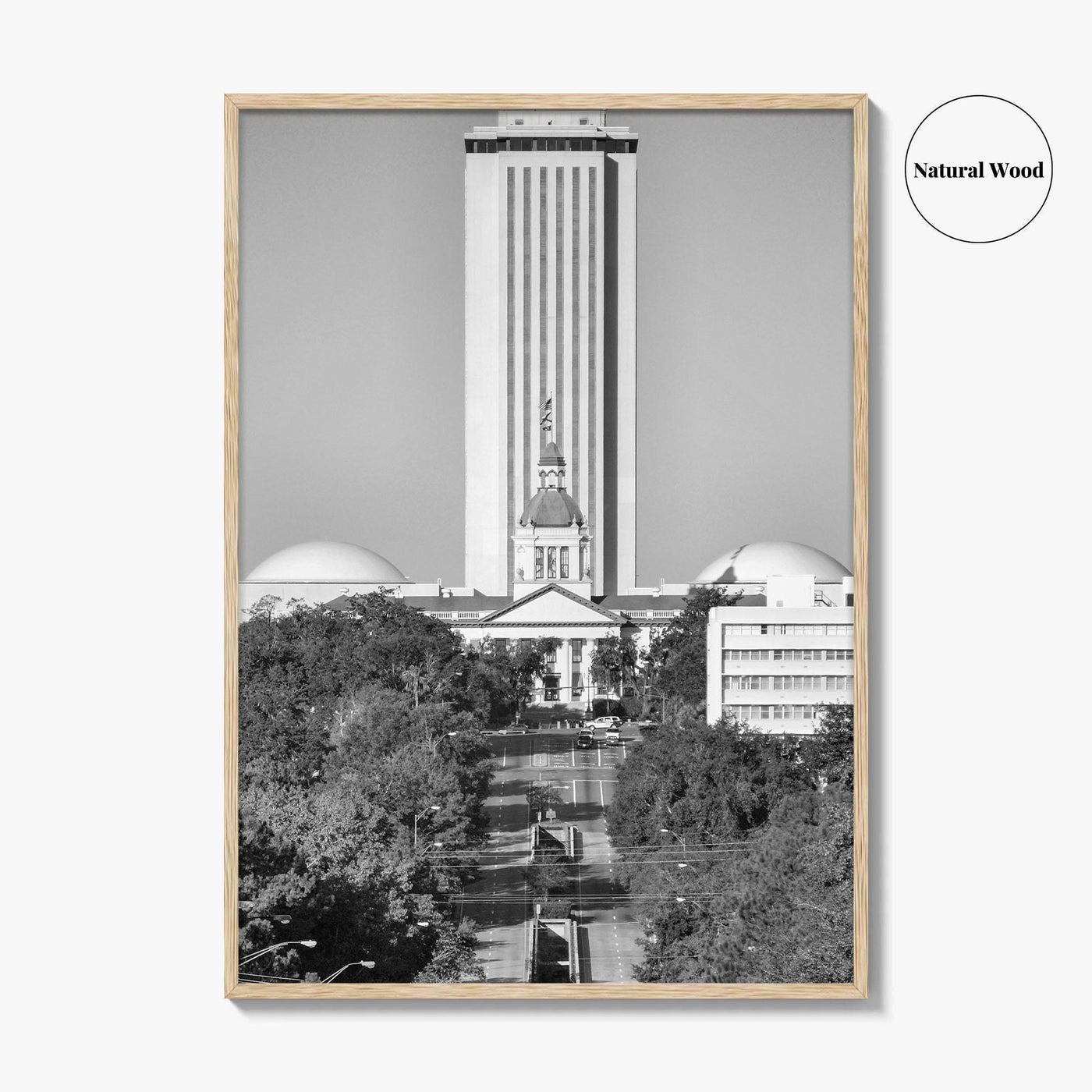 Tallahassee Black and White Fine Art Photo Print, Florida Capitol Buildings, Florida Poster