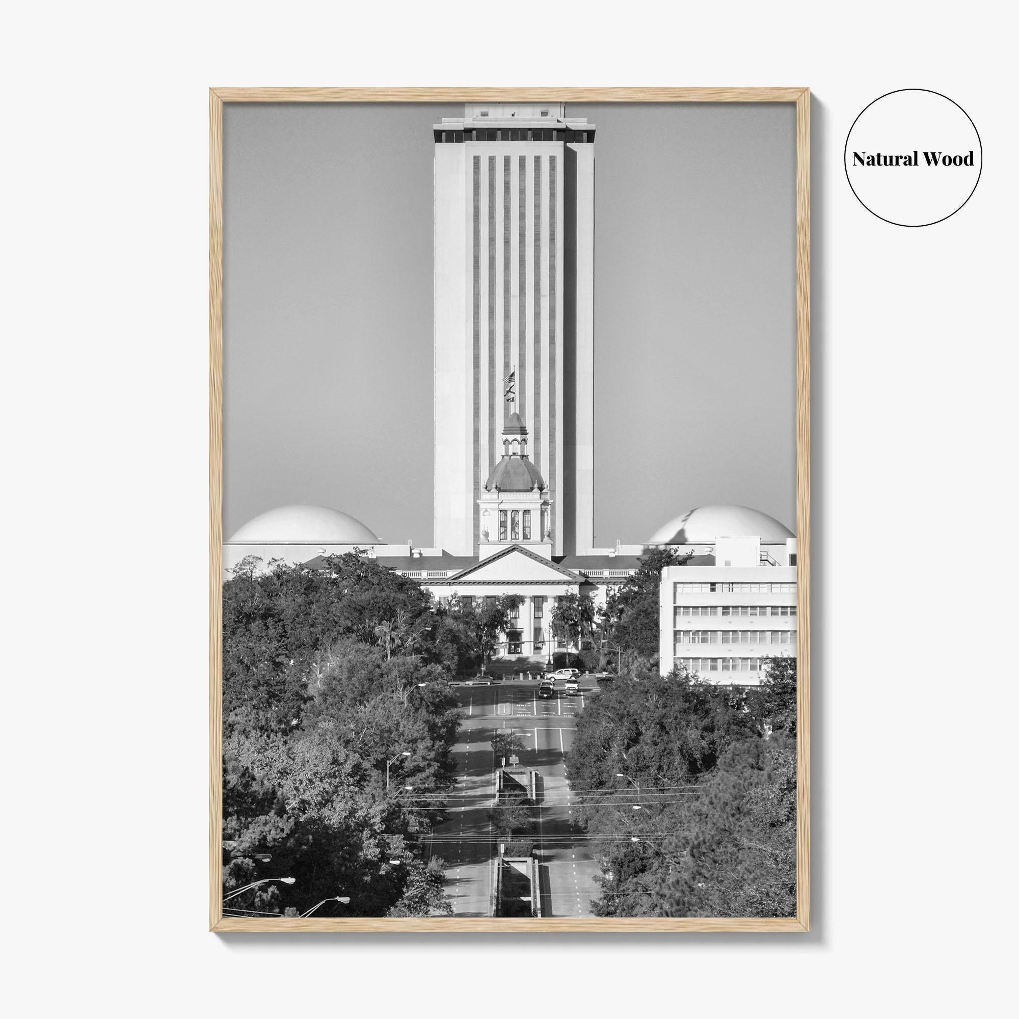 Tallahassee Black and White Fine Art Photo Print, Florida Capitol Buildings, Florida Poster