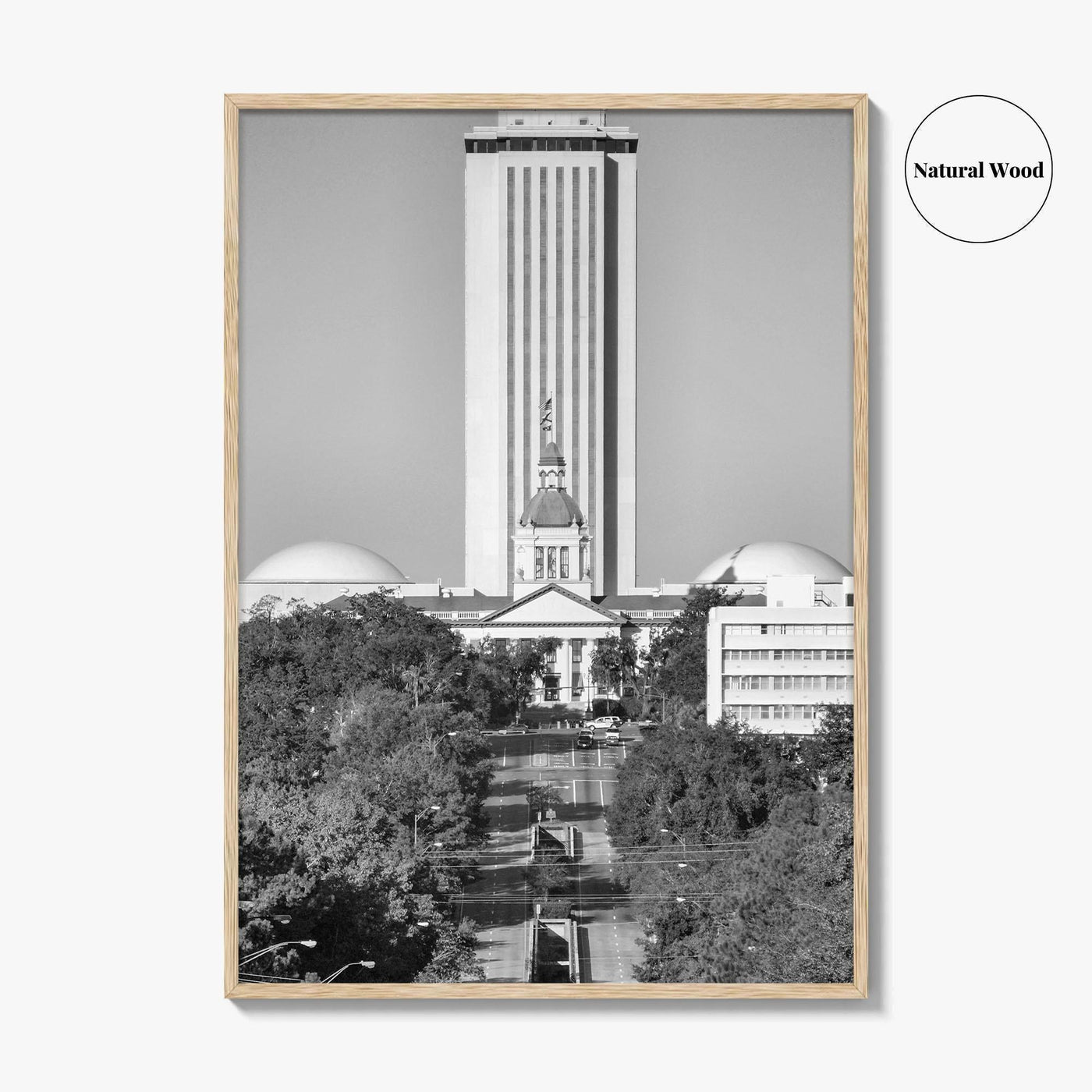 Tallahassee Black and White Fine Art Photo Print, Florida Capitol Buildings, Florida Poster
