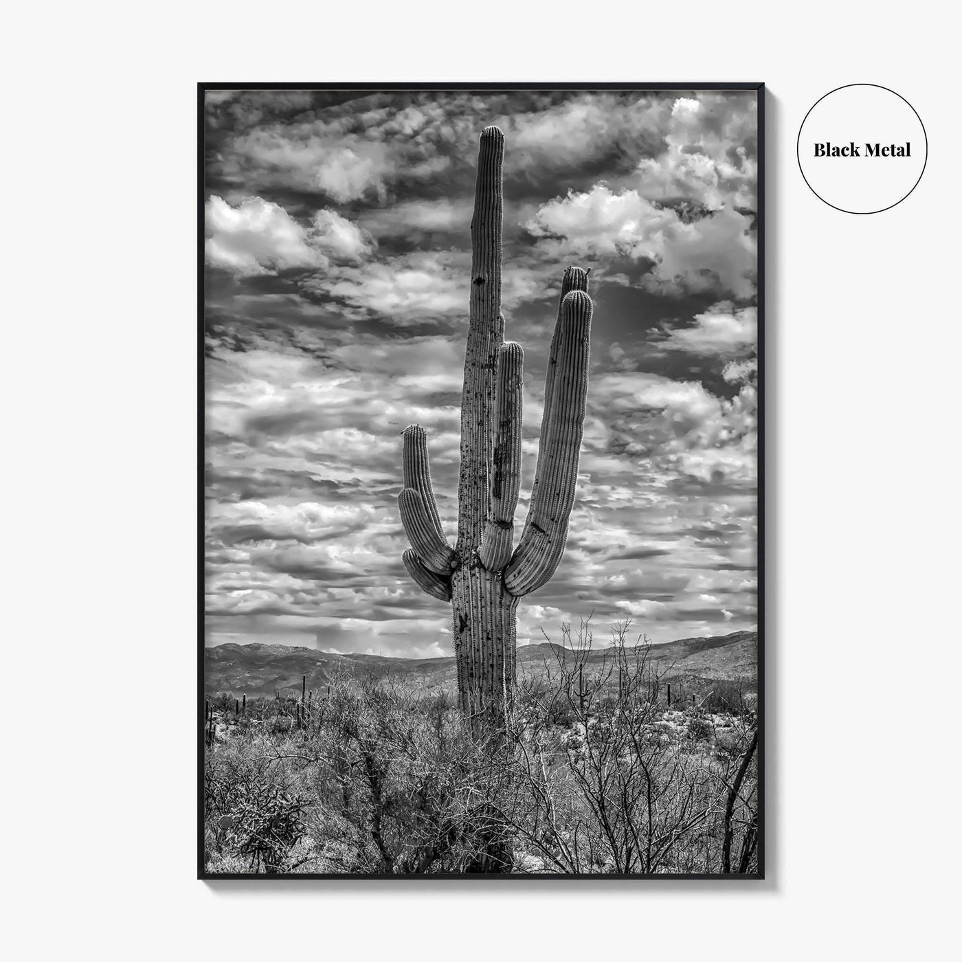 Saguaro National Park Black and White Fine Art Photo Print, Tucson Sonoran Desert Poster