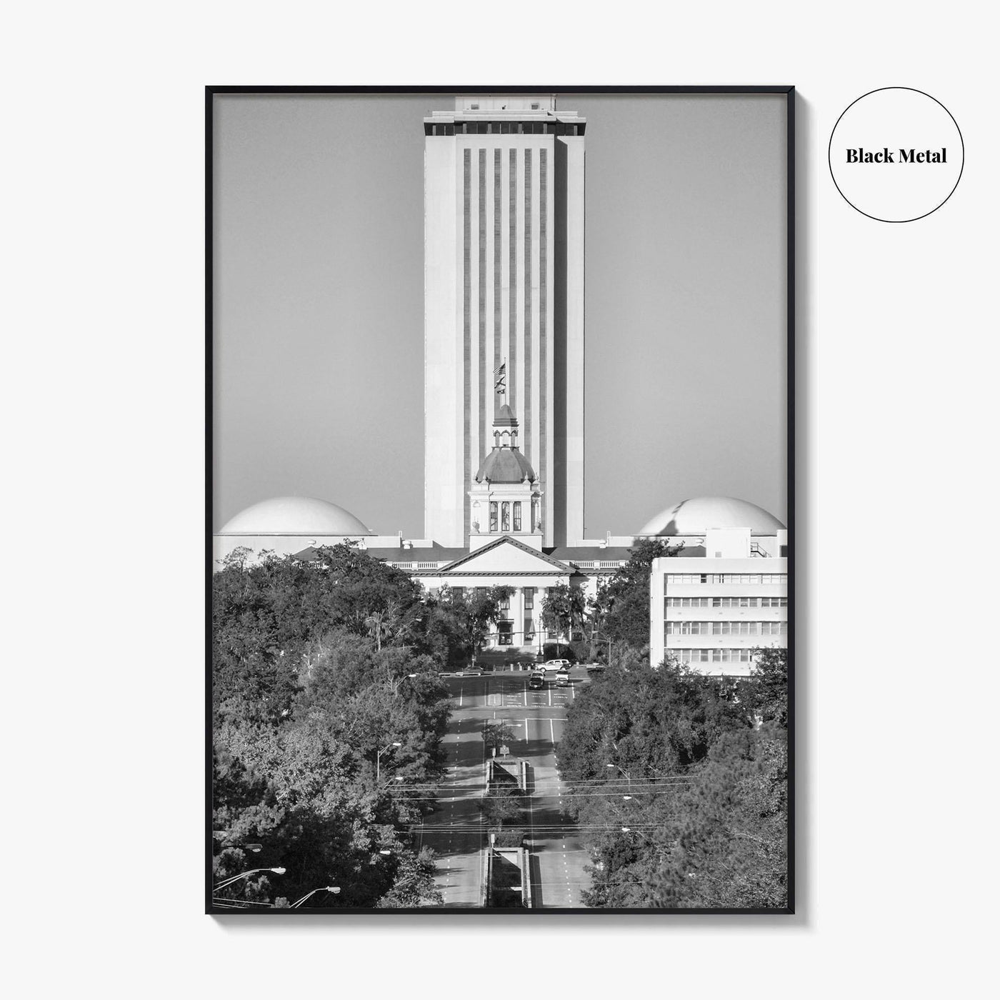 Tallahassee Black and White Fine Art Photo Print, Florida Capitol Buildings, Florida Poster