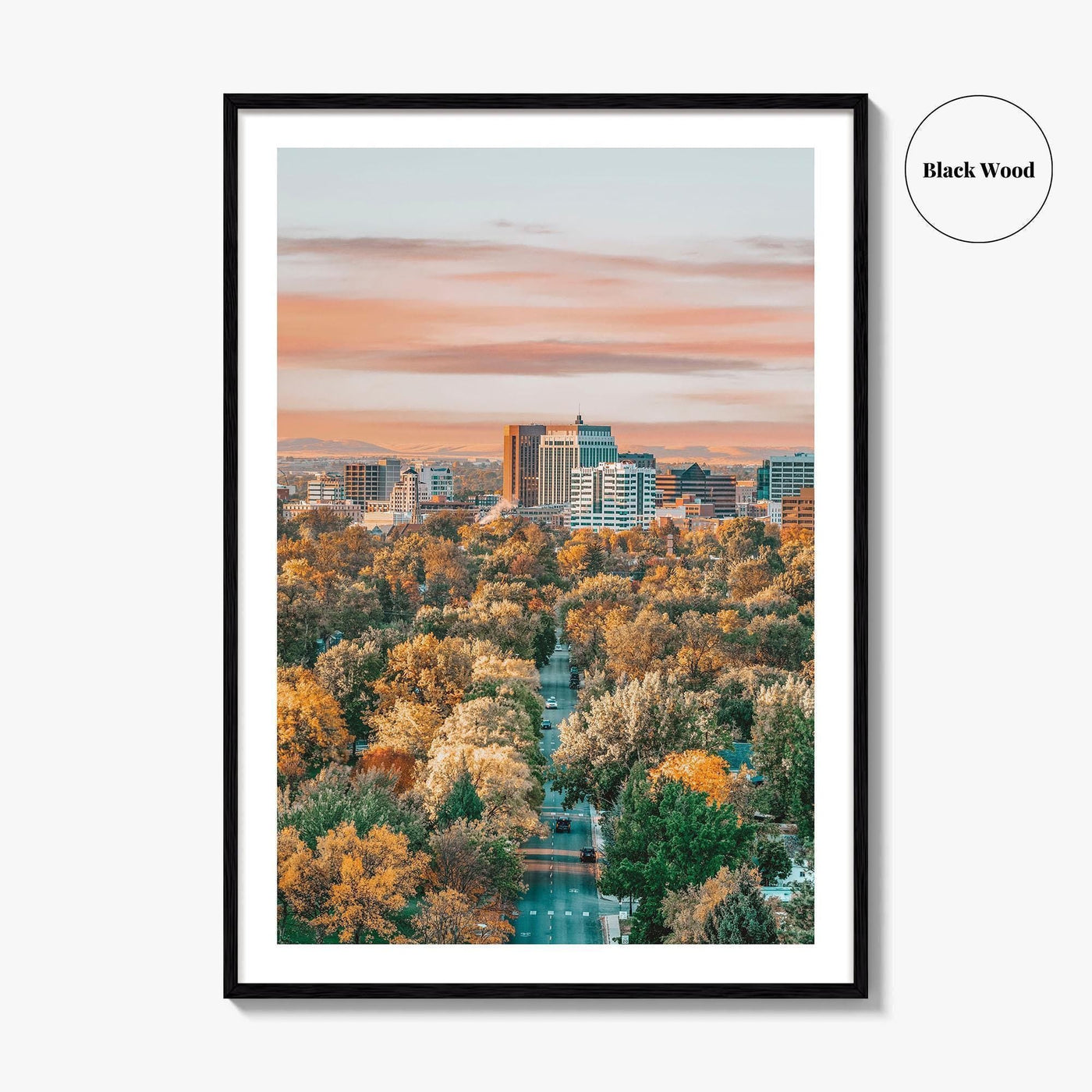 Boise Fine Art Photo Print, Idaho Wall Poster, City of Trees USA