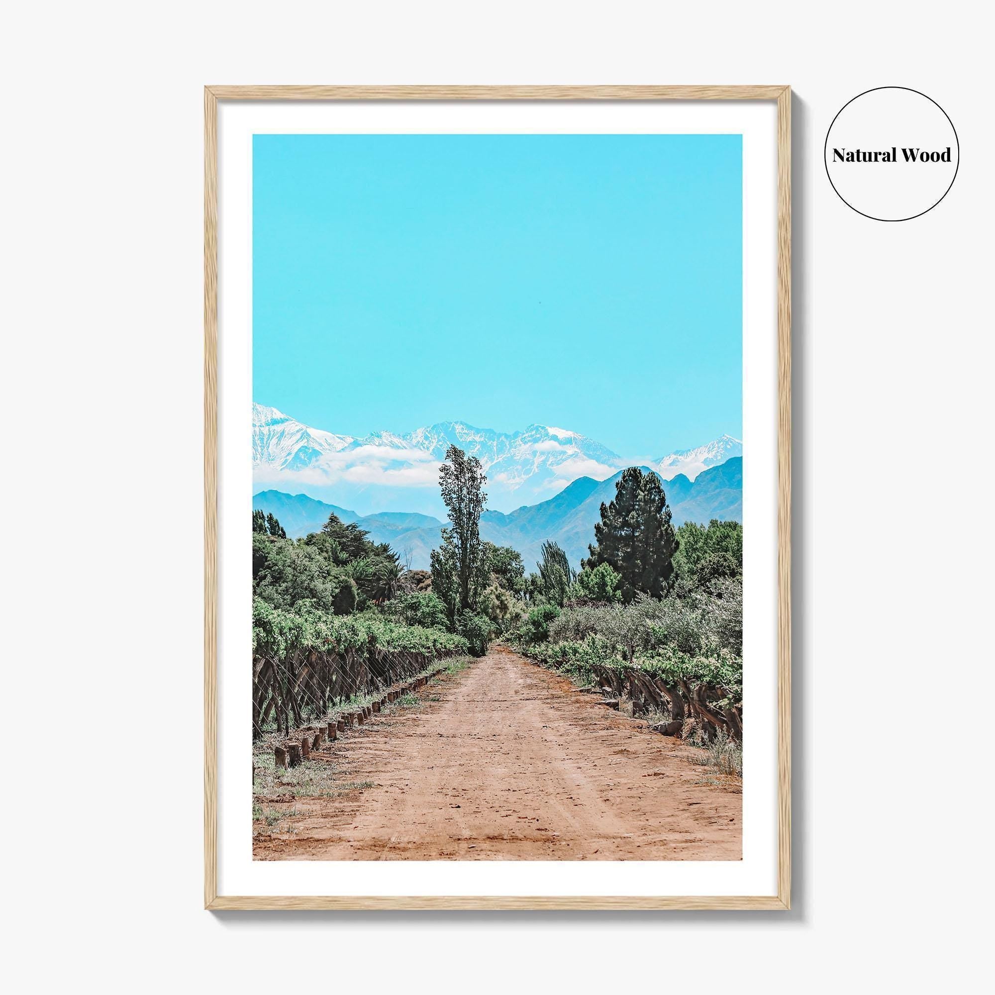 Argentina Fine Art Photo Print, Mendoza Malbec Vineyard, Andes Mountains, Lujan de Cuyo