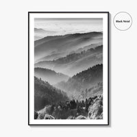 Schwarzwald Black and White Fine Art Photo Print, Baden-Württemberg Poster