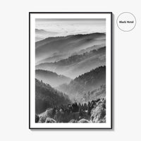 Schwarzwald Black and White Fine Art Photo Print, Baden-Württemberg Poster