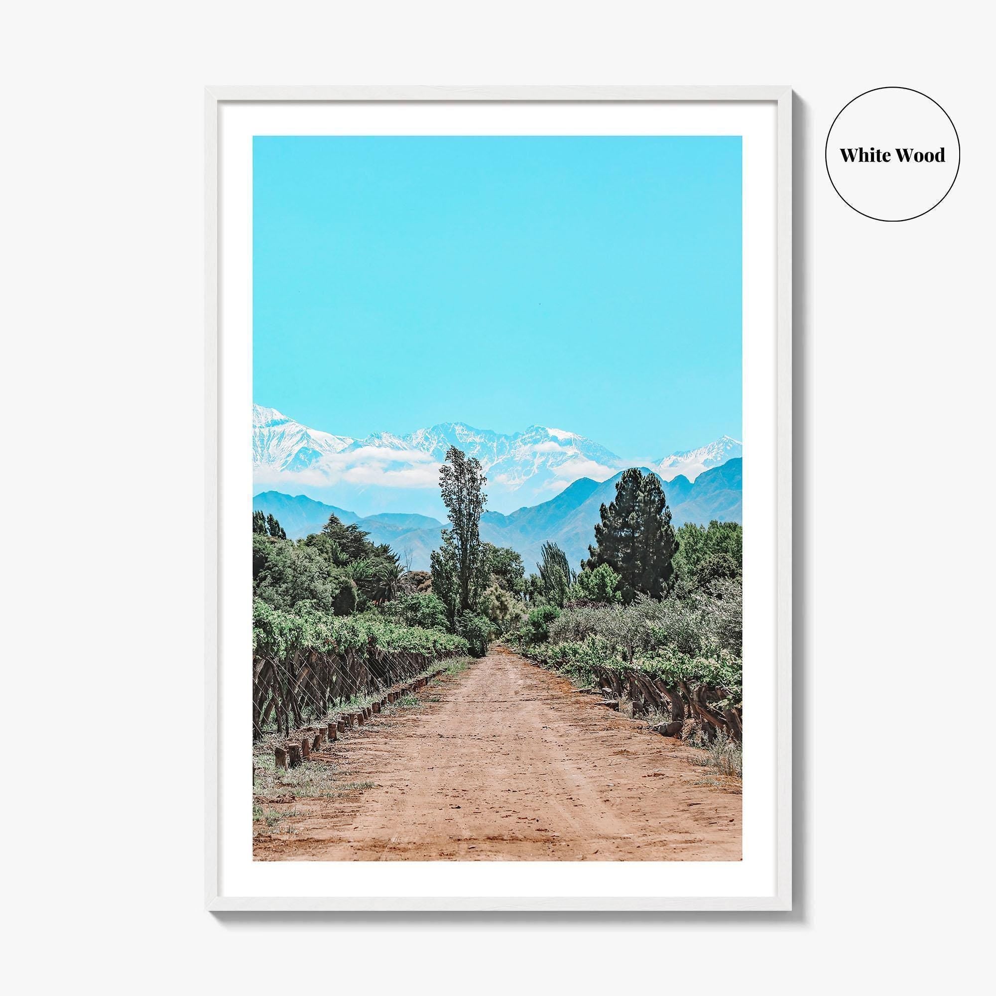 Argentina Fine Art Photo Print, Mendoza Malbec Vineyard, Andes Mountains, Lujan de Cuyo