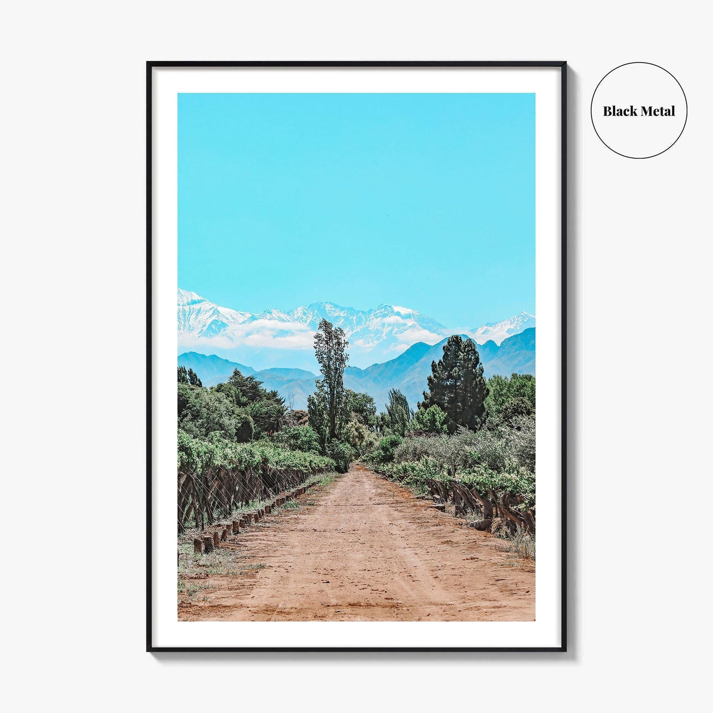 Argentina Fine Art Photo Print, Mendoza Malbec Vineyard, Andes Mountains, Lujan de Cuyo