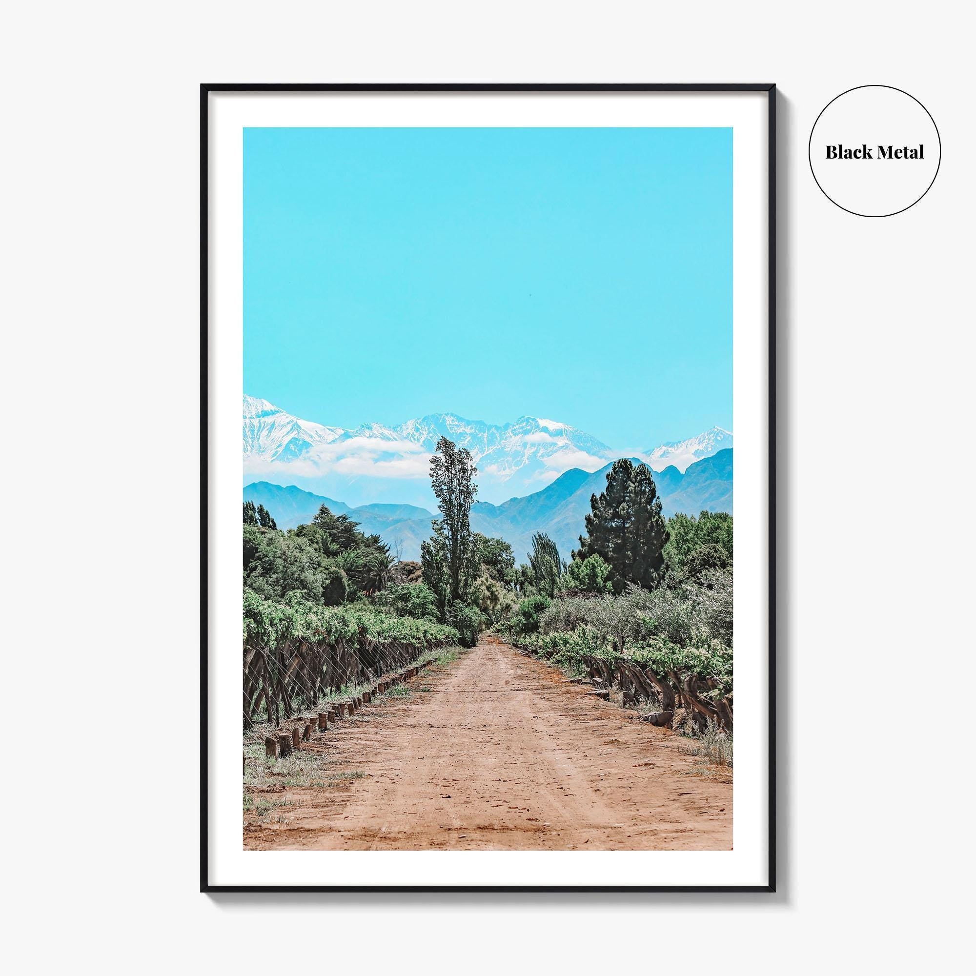 Argentina Fine Art Photo Print, Mendoza Malbec Vineyard, Andes Mountains, Lujan de Cuyo