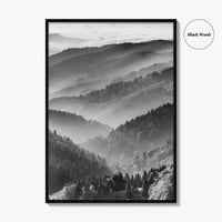 Schwarzwald Black and White Fine Art Photo Print, Baden-Württemberg Poster
