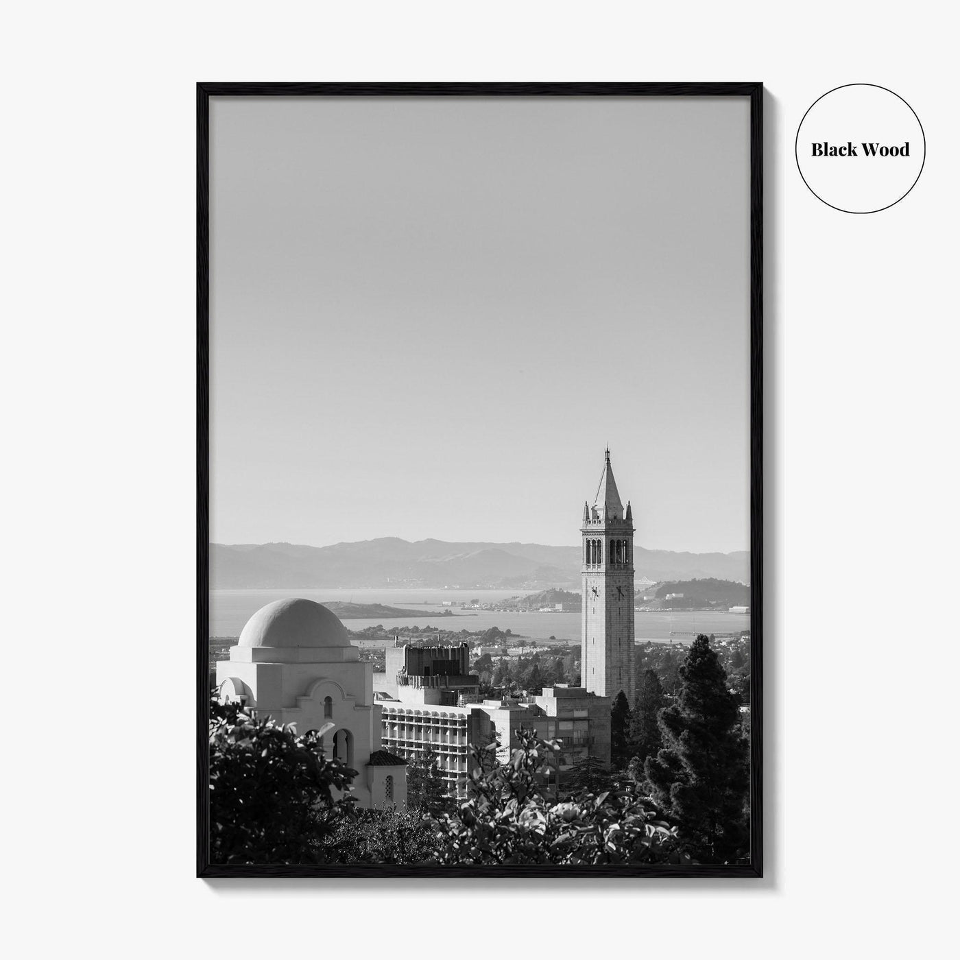 Berkeley Black and White Fine Art Photo Print, Sather Tower, Campanile, California, Wall Decor