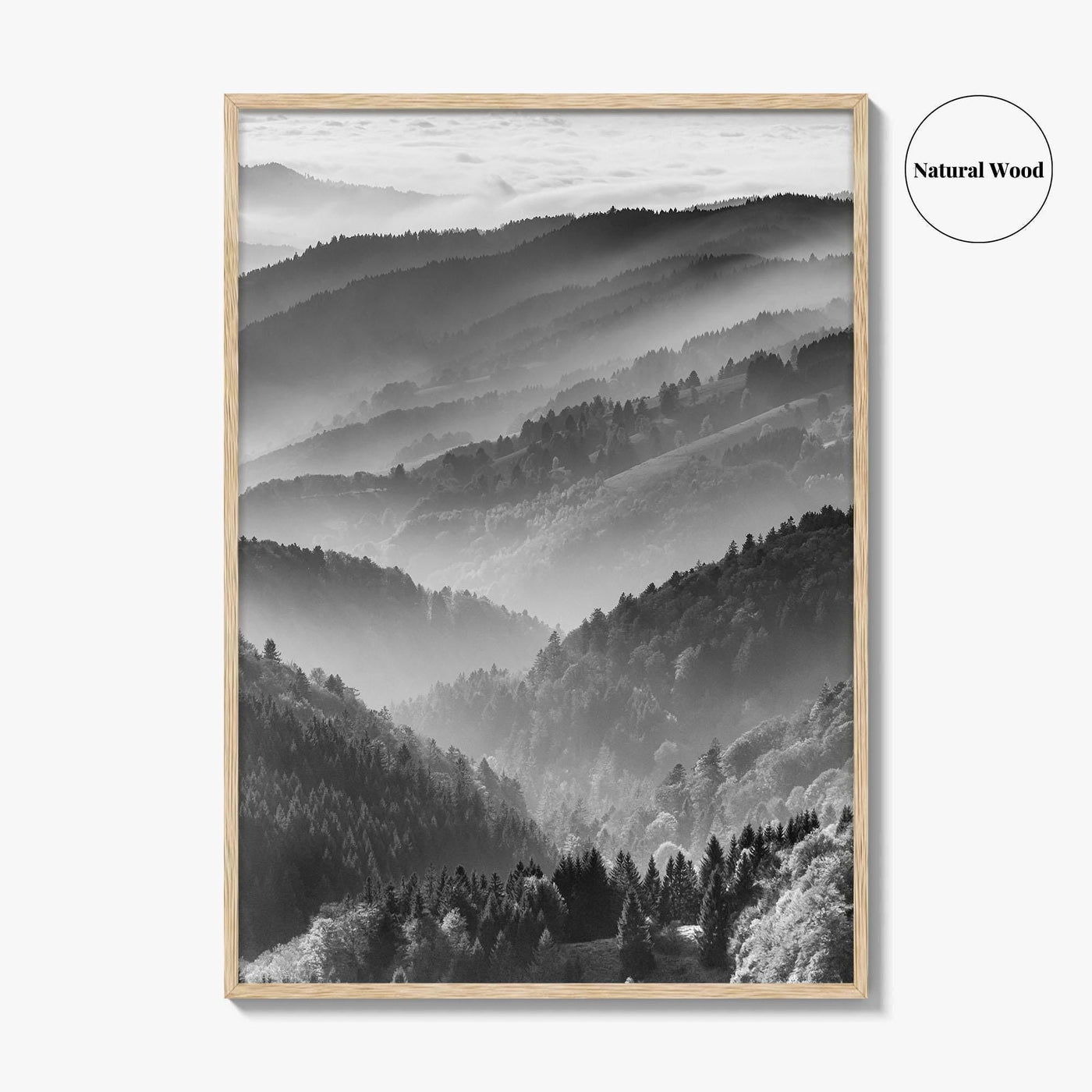 Schwarzwald Black and White Fine Art Photo Print, Baden-Württemberg Poster