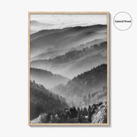 Schwarzwald Black and White Fine Art Photo Print, Baden-Württemberg Poster