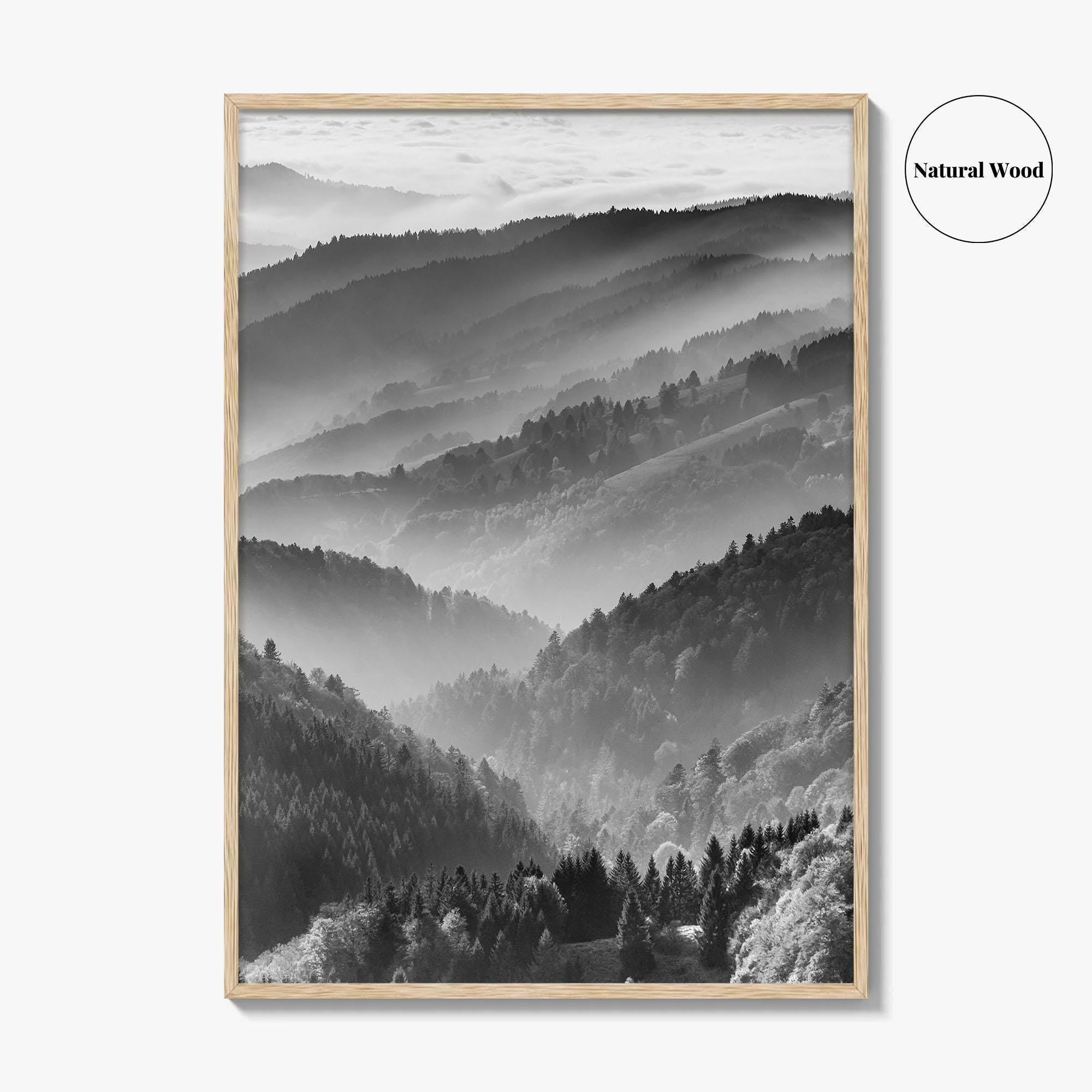 Schwarzwald Black and White Fine Art Photo Print, Baden-Württemberg Poster