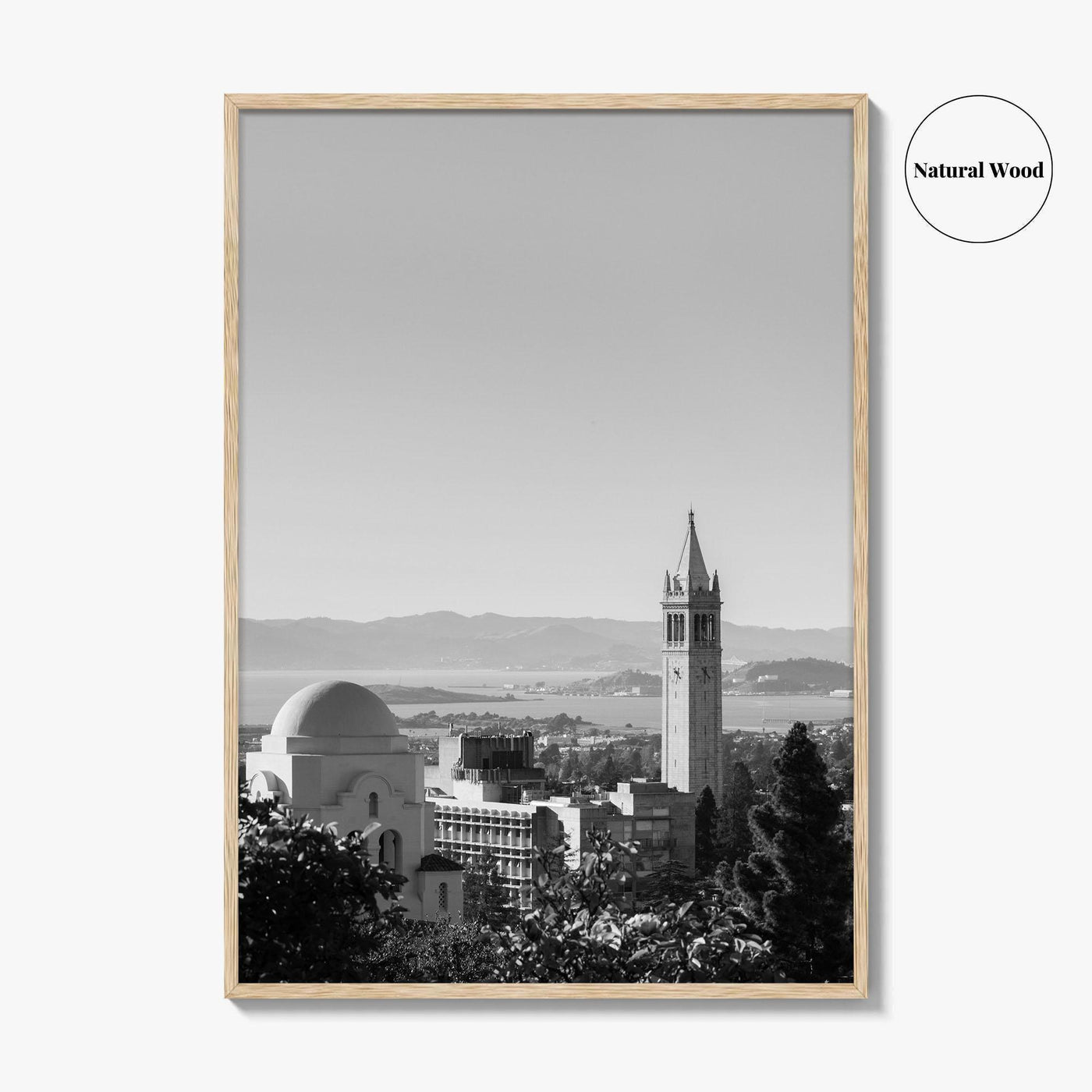 Berkeley Black and White Fine Art Photo Print, Sather Tower, Campanile, California, Wall Decor