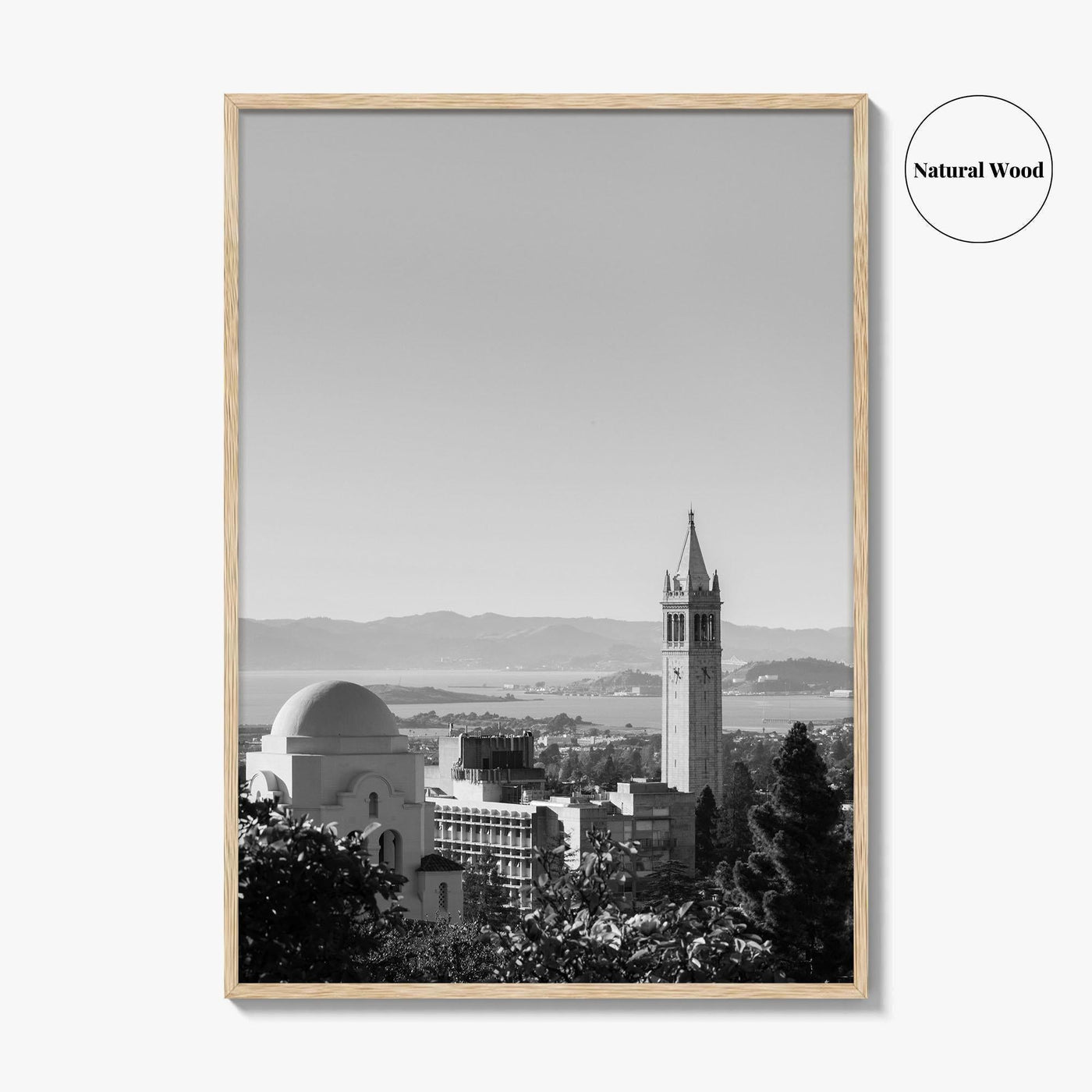 Berkeley Black and White Fine Art Photo Print, Sather Tower, Campanile, California, Wall Decor