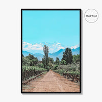 Argentina Fine Art Photo Print, Mendoza Malbec Vineyard, Andes Mountains, Lujan de Cuyo