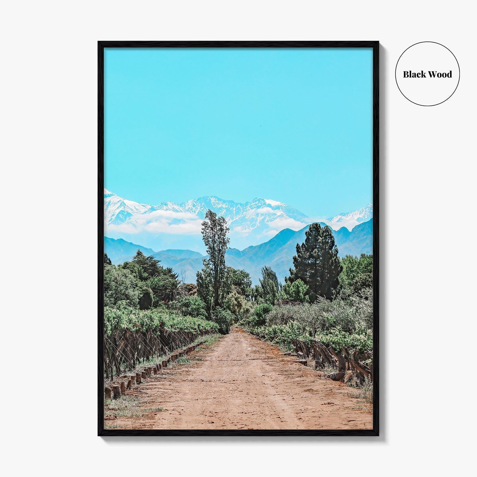 Argentina Fine Art Photo Print, Mendoza Malbec Vineyard, Andes Mountains, Lujan de Cuyo