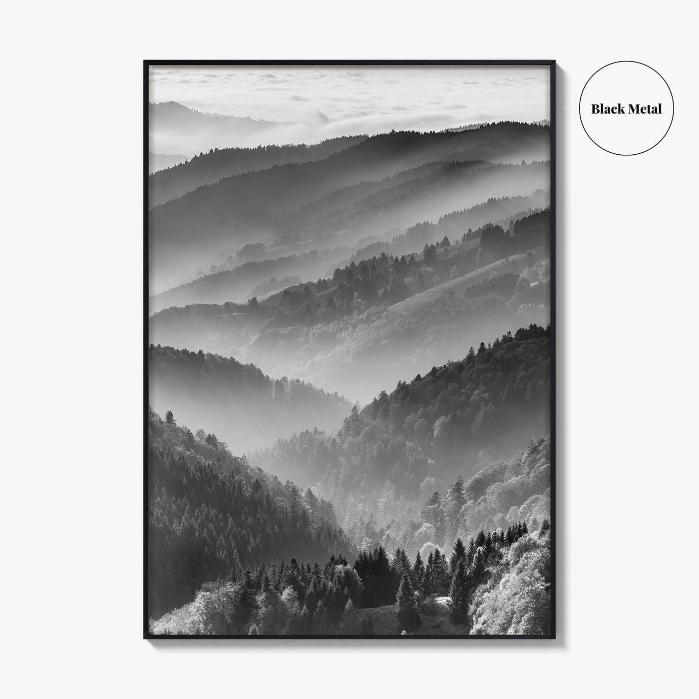 Schwarzwald Black and White Fine Art Photo Print, Baden-Württemberg Poster