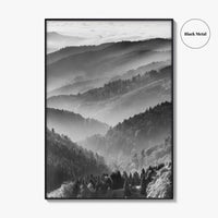 Schwarzwald Black and White Fine Art Photo Print, Baden-Württemberg Poster