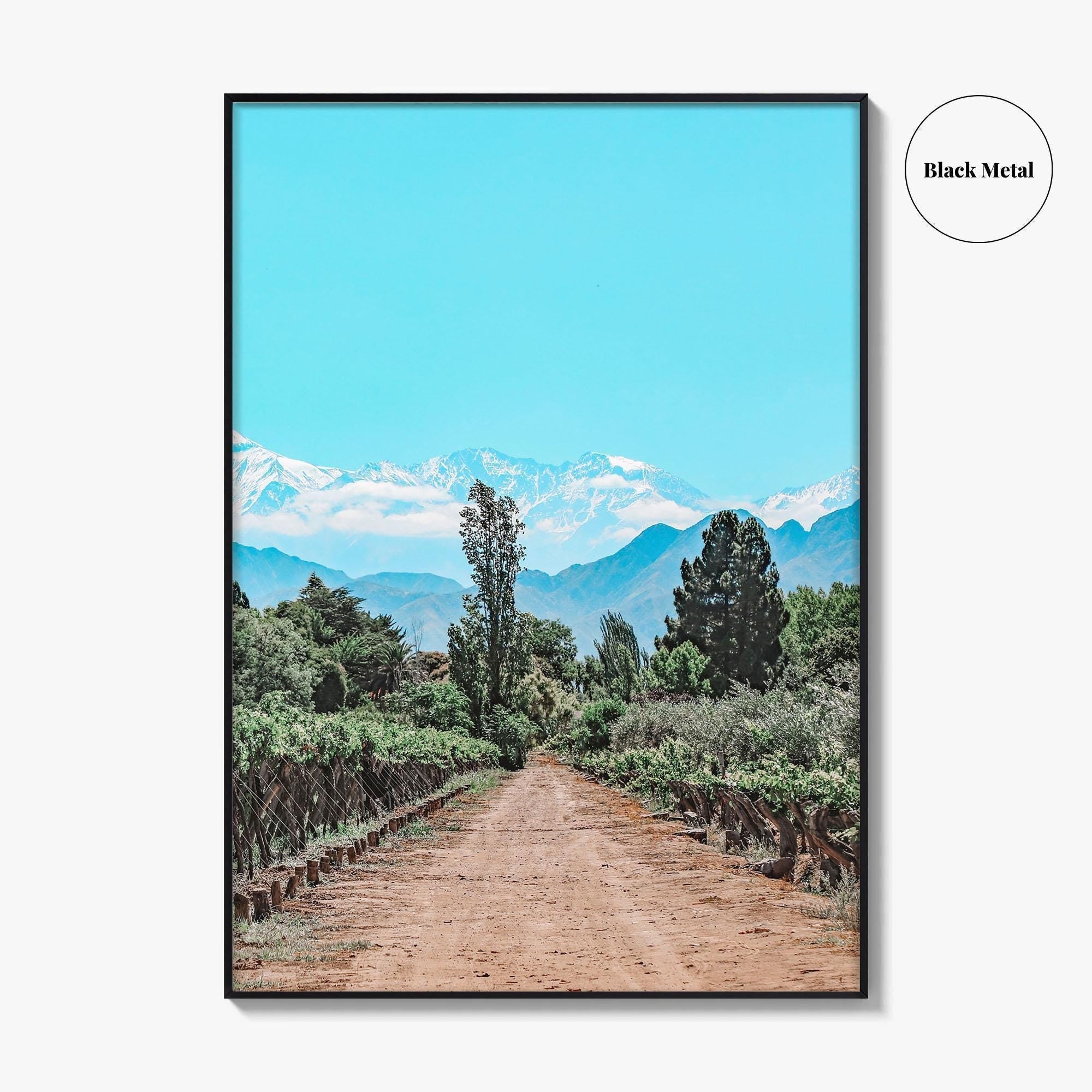 Argentina Fine Art Photo Print, Mendoza Malbec Vineyard, Andes Mountains, Lujan de Cuyo