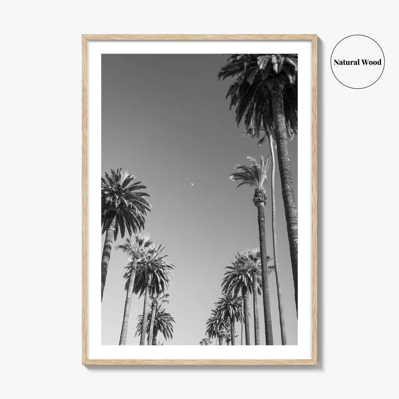 Beverly Hills Black and White Fine Art Photo Print, Los Angeles Palm Trees Poster