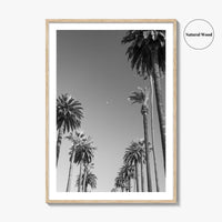 Beverly Hills Black and White Fine Art Photo Print, Los Angeles Palm Trees Poster