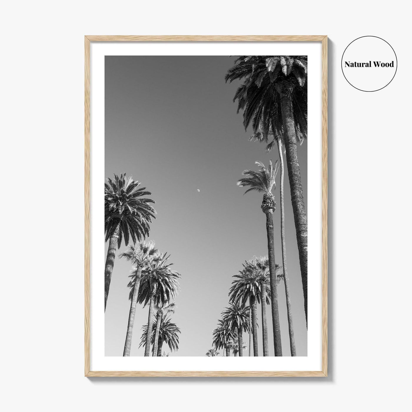 Beverly Hills Black and White Fine Art Photo Print, Los Angeles Palm Trees Poster