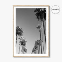 Beverly Hills Black and White Fine Art Photo Print, Los Angeles Palm Trees Poster