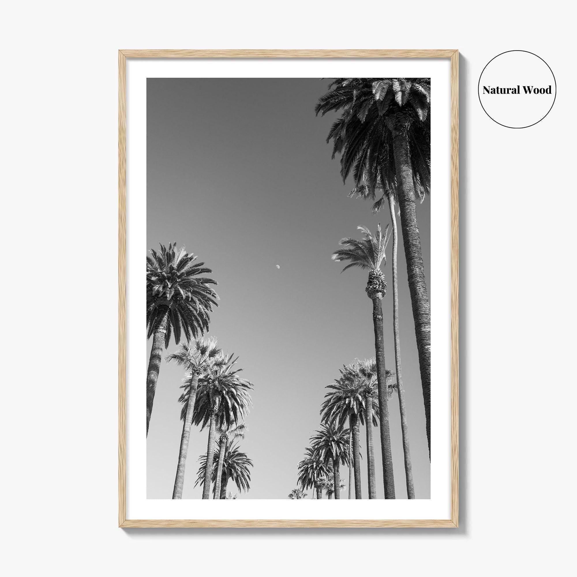 Beverly Hills Black and White Fine Art Photo Print, Los Angeles Palm Trees Poster