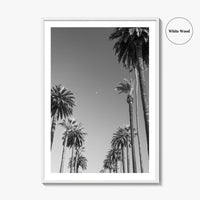 Beverly Hills Black and White Fine Art Photo Print, Los Angeles Palm Trees Poster