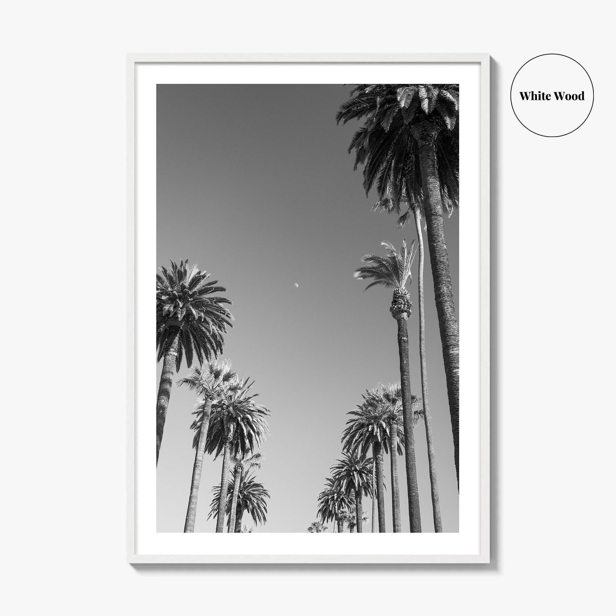 Beverly Hills Black and White Fine Art Photo Print, Los Angeles Palm Trees Poster