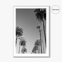 Beverly Hills Black and White Fine Art Photo Print, Los Angeles Palm Trees Poster