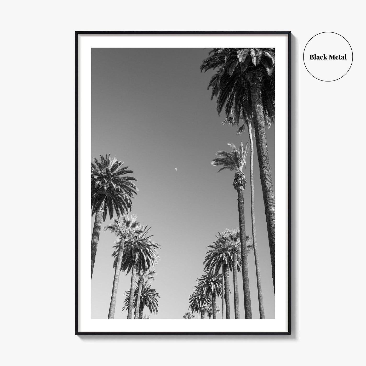 Beverly Hills Black and White Fine Art Photo Print, Los Angeles Palm Trees Poster