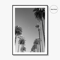 Beverly Hills Black and White Fine Art Photo Print, Los Angeles Palm Trees Poster