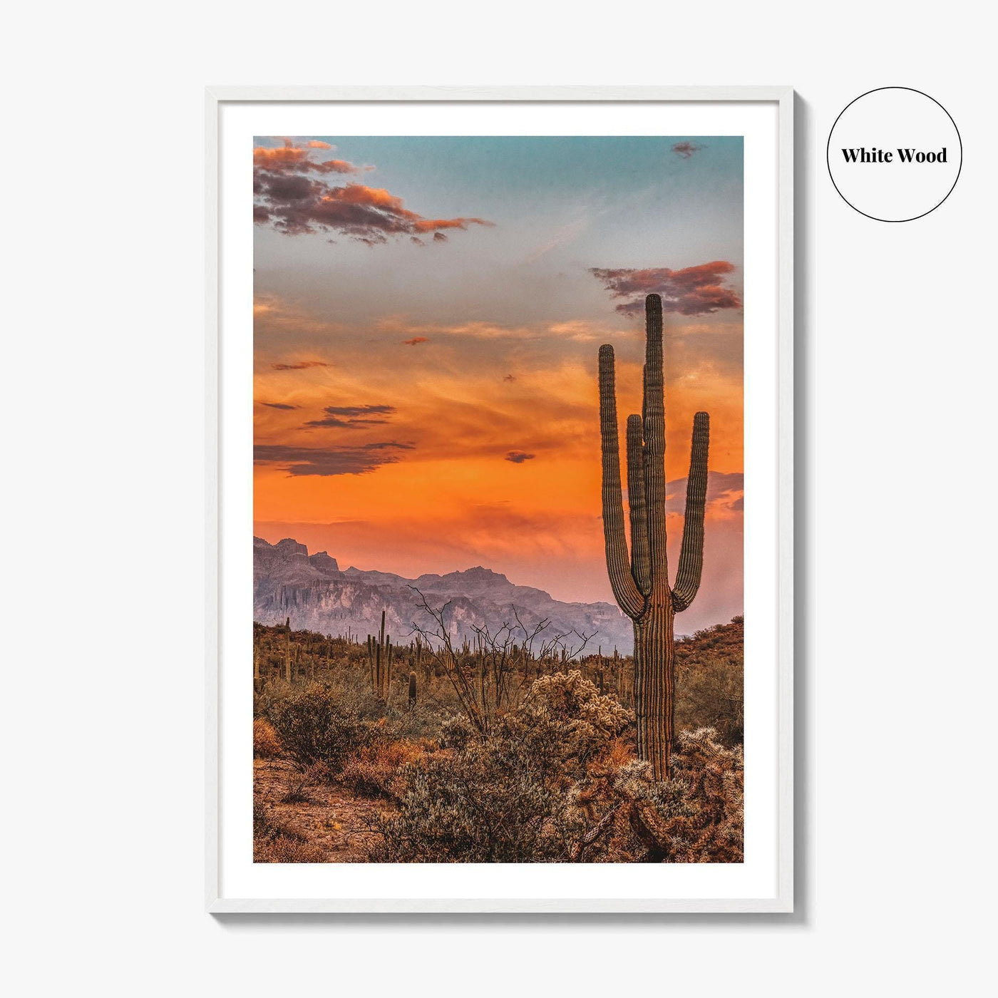 Arizona Fine Art Photo Print, Phoenix Sonoran Desert, USA Wall Decor Poster