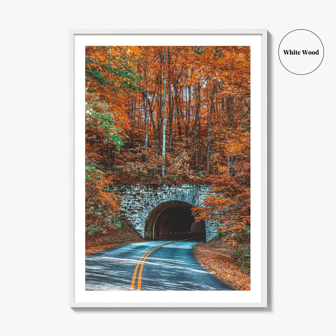 Asheville Fine Art Photo Print, Blue Ridge Parkway Tunnel, North Carolina Wall Poster
