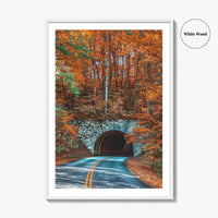 Asheville Fine Art Photo Print, Blue Ridge Parkway Tunnel, North Carolina Wall Poster